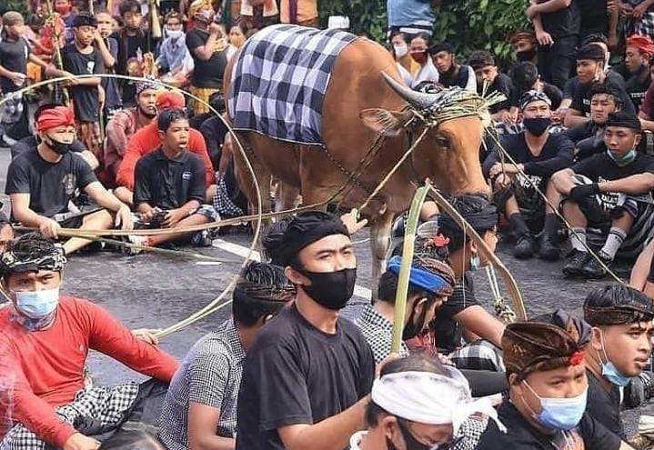 Tradisi Mejaga-jaga Desa Adat Gegelang