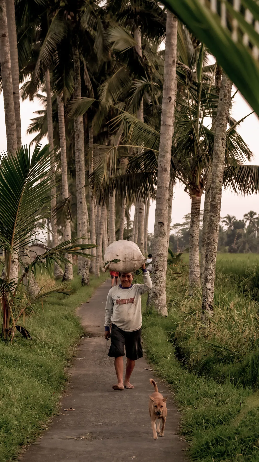 Bendega dan Subak Bali