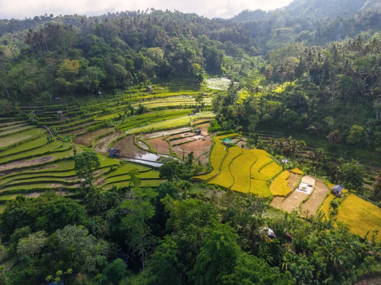 Pura adat di tengah kawasan pengembangan properti di Bali, menggambarkan mandat Desa Adat menjaga tanah adat dan ruang sakral
